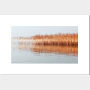 Nature Reed Art Posters and Art